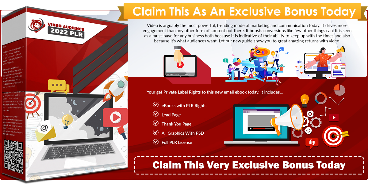 Video Audience 2022 PLR infographics template